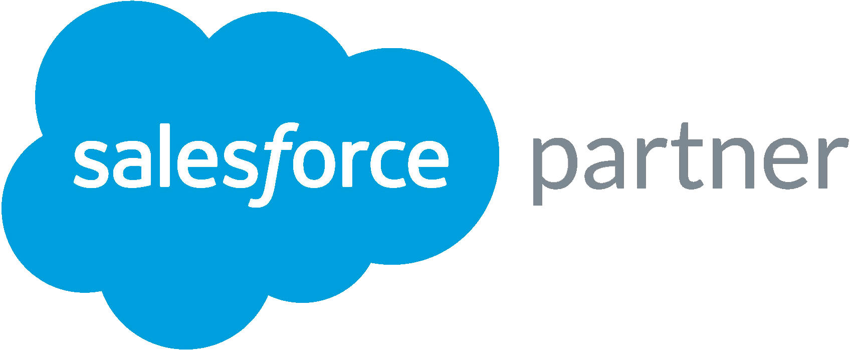 Salesforce Partner